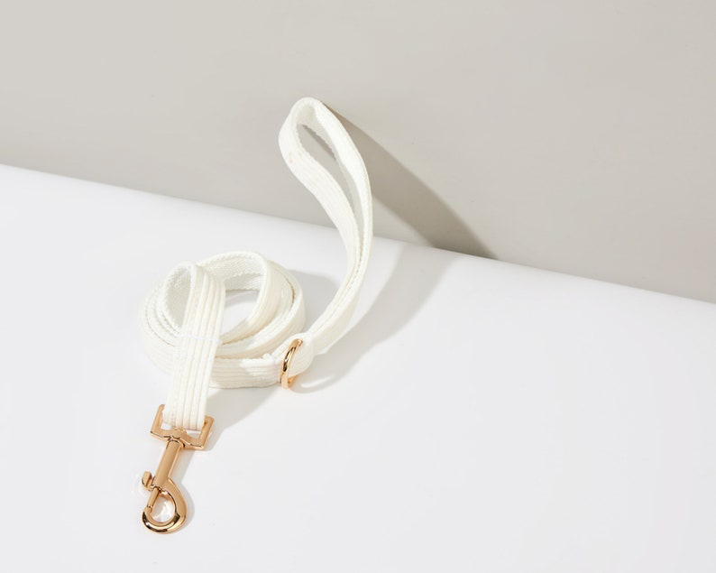 Elfenbein Cord Hochzeit Hundegeschirr und Leine Halsband Set, weiches Luxus Geschirr Fliege Halsband Set