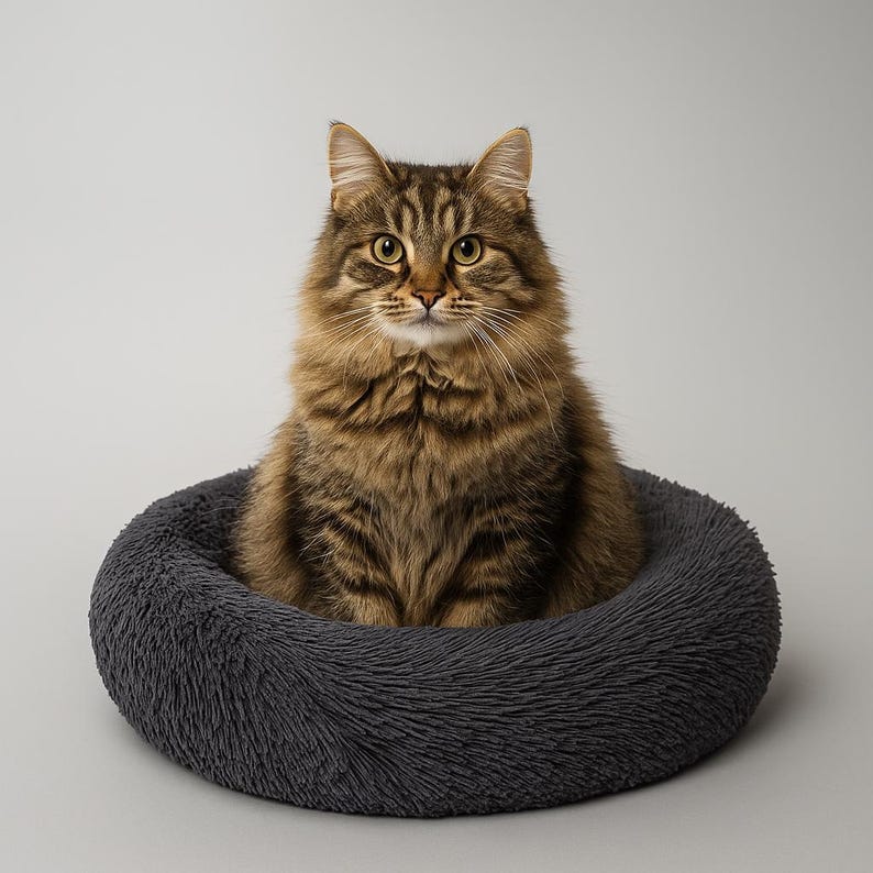 Plüsch Donut Haustierbett – Kuscheliges Winter Katzen- & Hundebett, waschbar