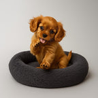 Plüsch Donut Haustierbett – Kuscheliges Winter Katzen- & Hundebett, waschbar
