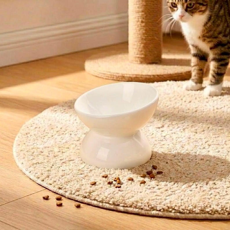 Erhöhter Keramik Katzenfutternapf, Schnurrhaarfreundlich, Hochtemperaturkeramik