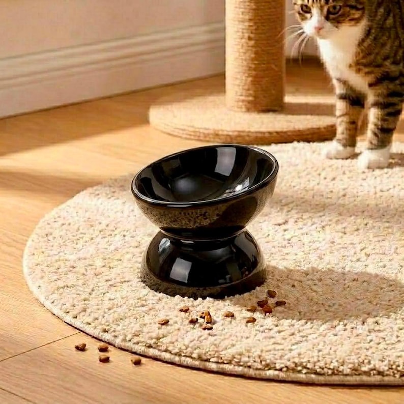 Erhöhter Keramik Katzenfutternapf, Schnurrhaarfreundlich, Hochtemperaturkeramik