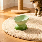Erhöhter Keramik Katzenfutternapf, Schnurrhaarfreundlich, Hochtemperaturkeramik
