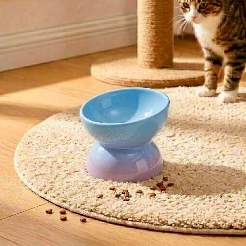 Erhöhter Keramik Katzenfutternapf, Schnurrhaarfreundlich, Hochtemperaturkeramik