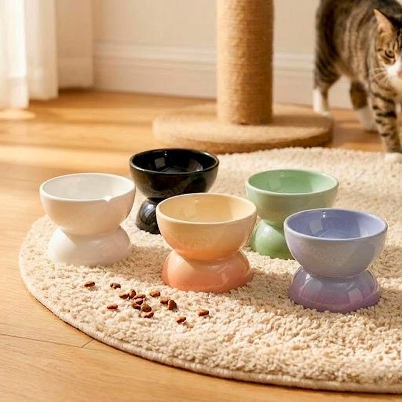 Erhöhter Keramik Katzenfutternapf, Schnurrhaarfreundlich, Hochtemperaturkeramik
